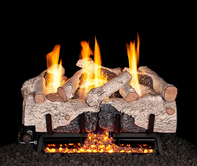 Outdoor Charred Alpine Birch Vent-Free Gas Log Set