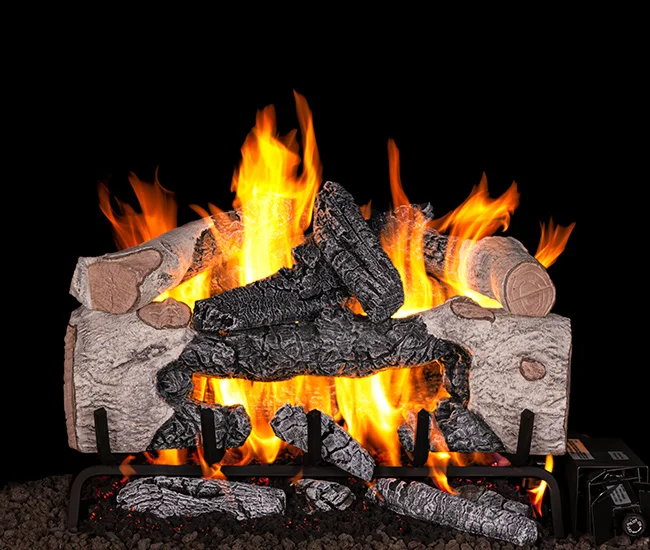 Charred Cinder Birch Vented Gas Log Set